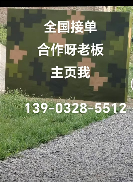 甘孜专业迷彩漆施工：围墙防护数码漆